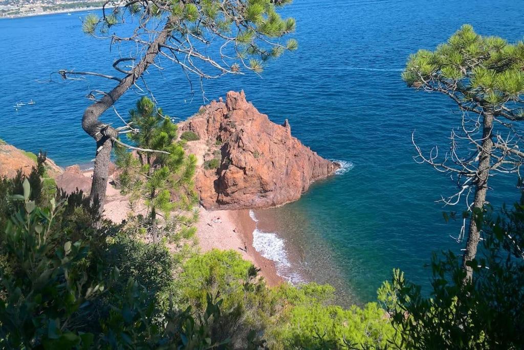 Théoule-sur-Mer 2 Pieces Climatise A 200M Des Plages מראה חיצוני תמונה