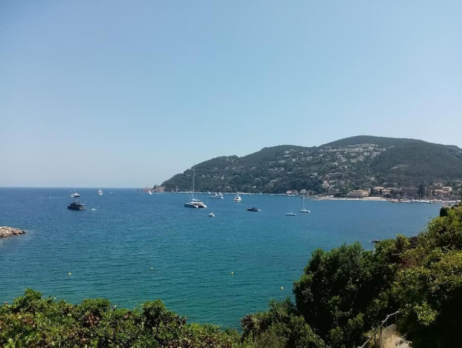 Théoule-sur-Mer 2 Pieces Climatise A 200M Des Plages מראה חיצוני תמונה